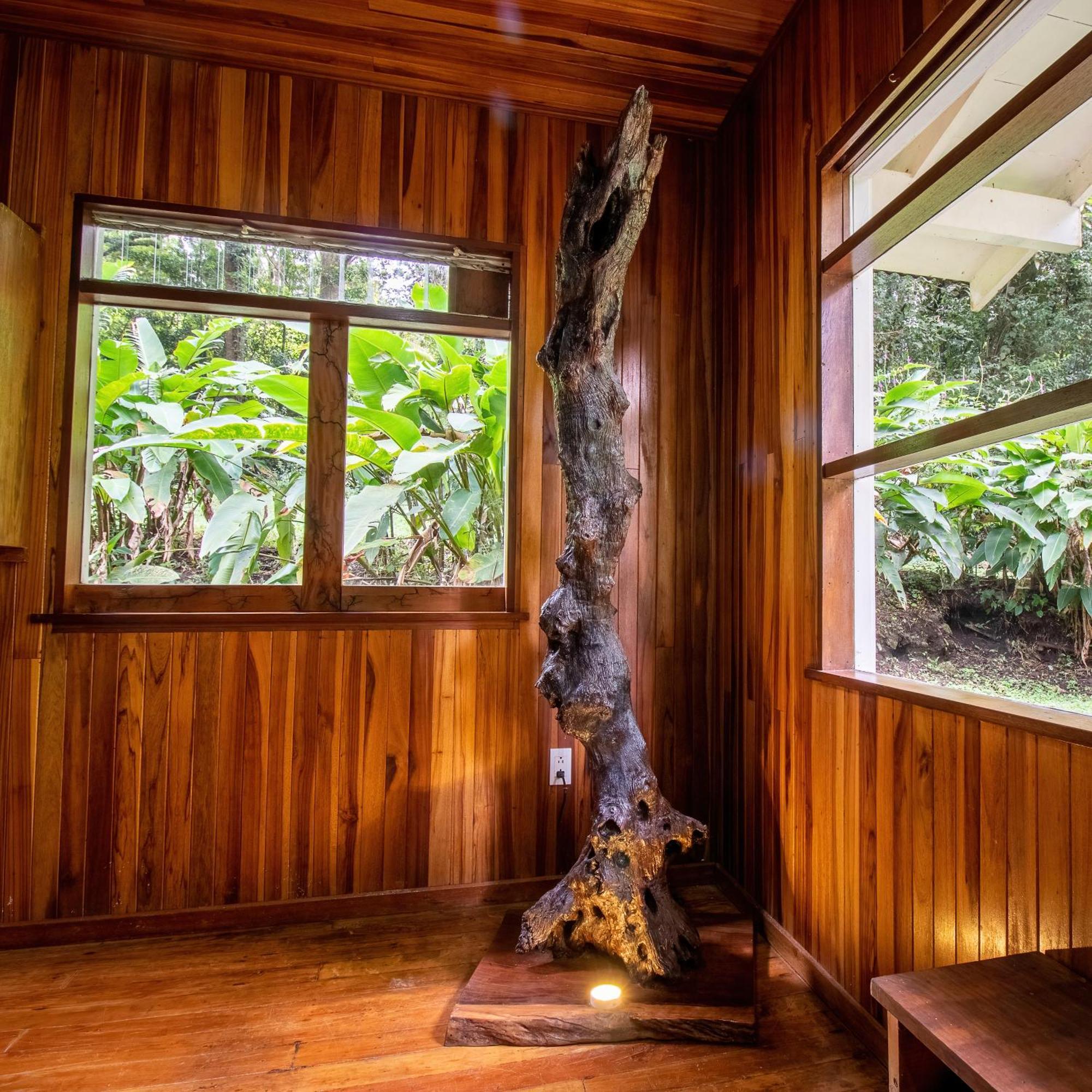 Forest Garden House Monteverde Luaran gambar