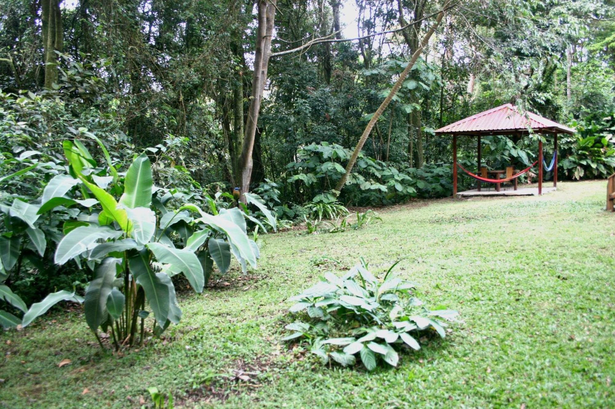 Forest Garden House Monteverde Luaran gambar