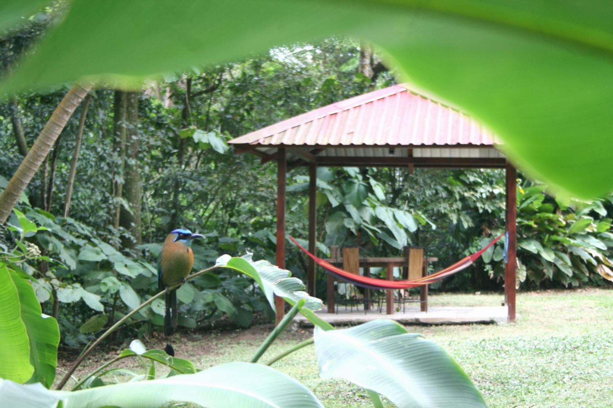 Forest Garden House Monteverde Luaran gambar